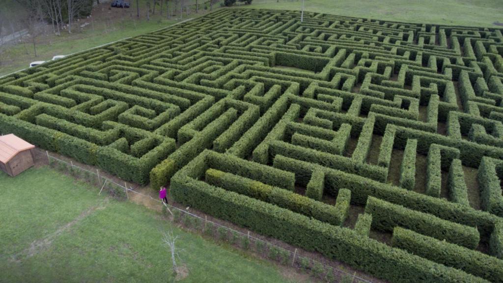 Laberinto de Villapresente