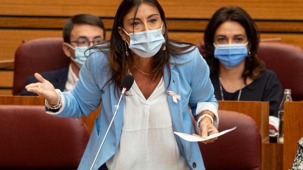 Ana Sánchez durante su intervención