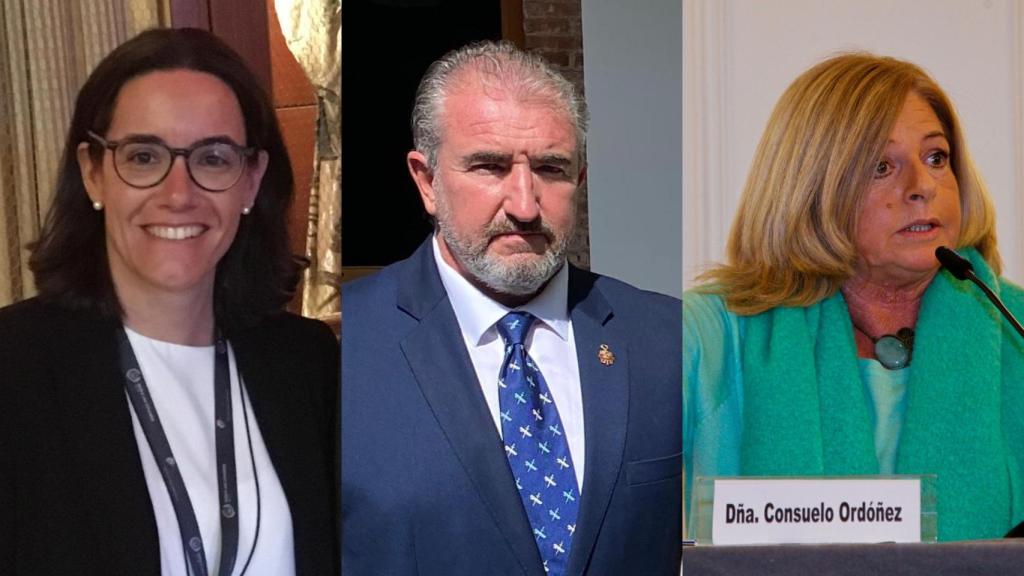 Carmen Ladrón de Guevara, Miguel Folguera (ambos de la AVT) y Consuelo Ordóñez, de Covite.