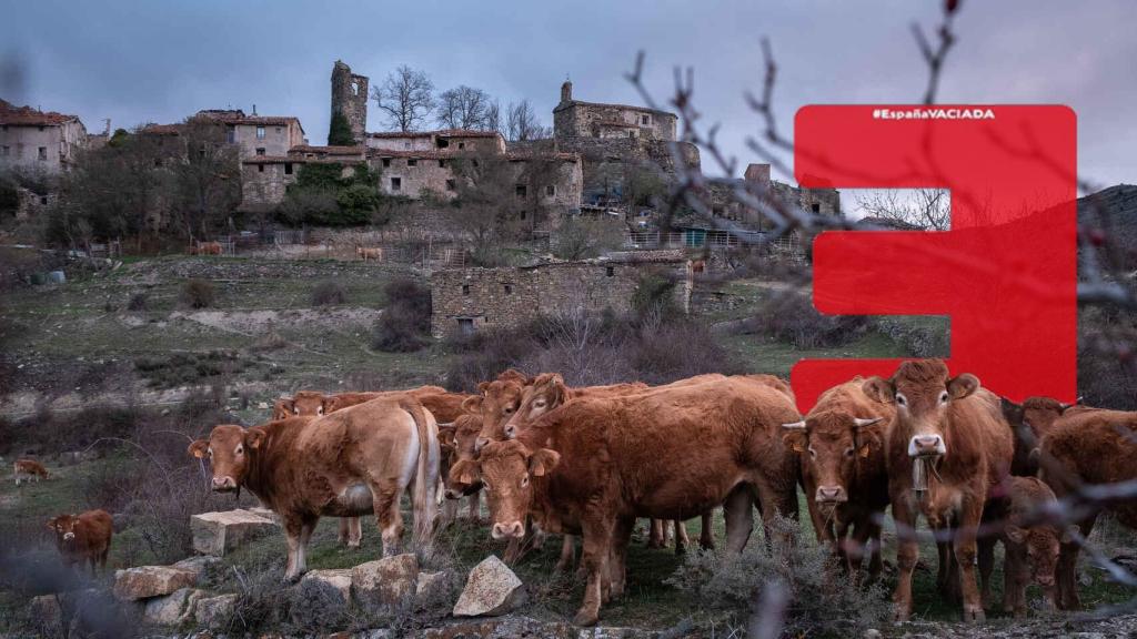 Montaje del logo del partido España Vaciada, en un área poco poblada.