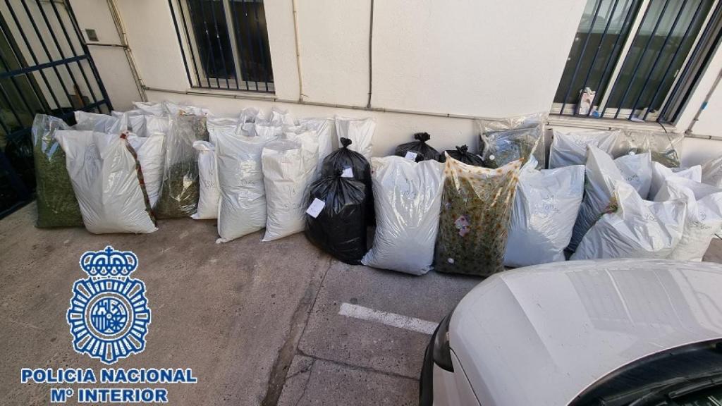 Parte de la marihuana incautada por la Policía Nacional.