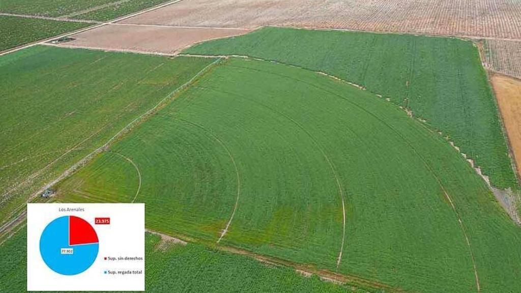 Gráfico Los Arenales - José Luis Regalado y WWF España