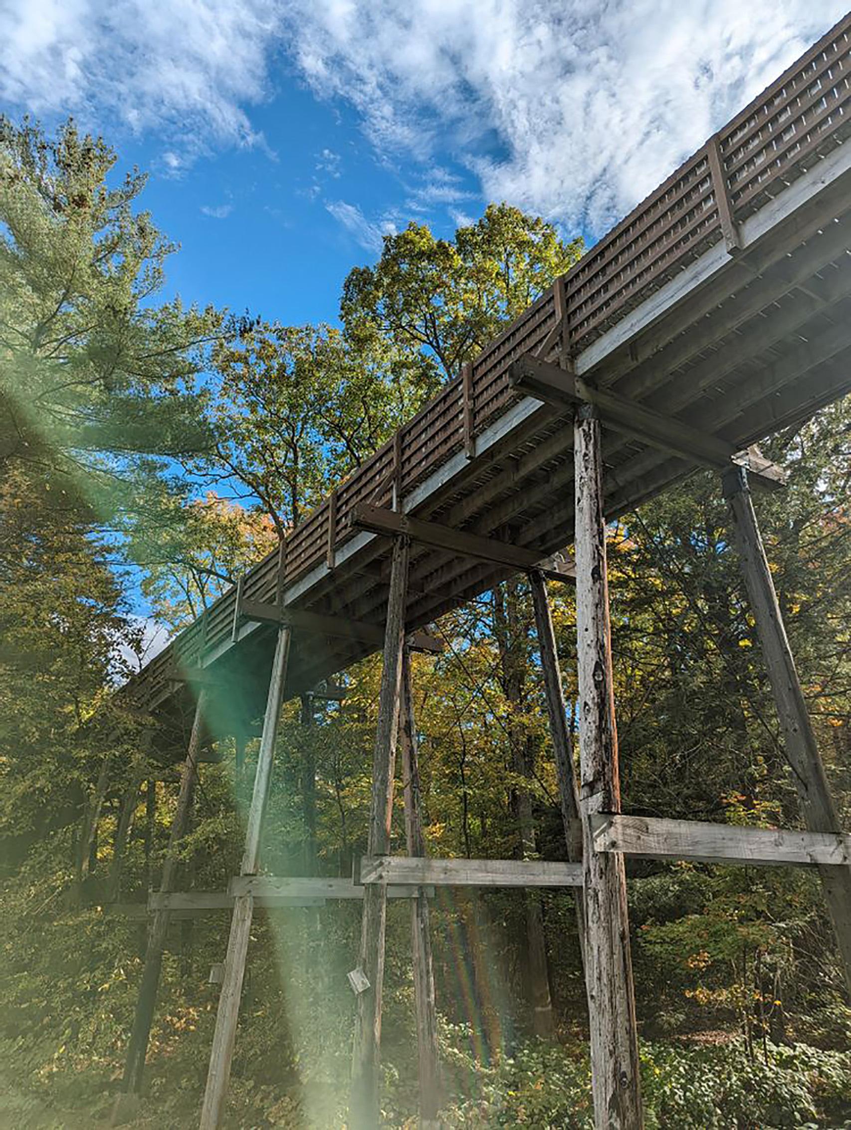 Un ejemplo de una fotografía con lens flare del Pixel 6