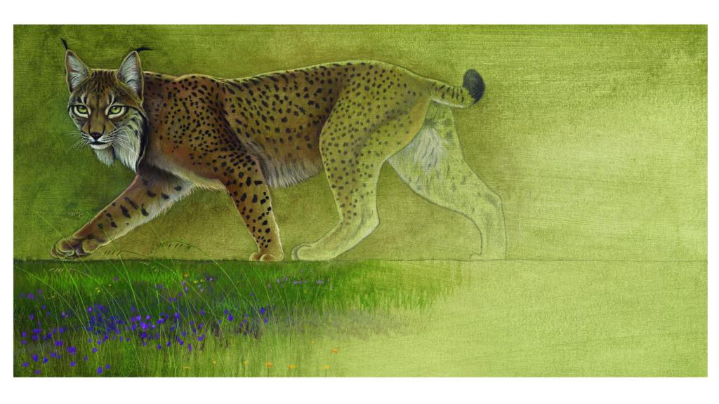 Ilustración de un lince ibérico que aparece en 'Te necesitamos'.