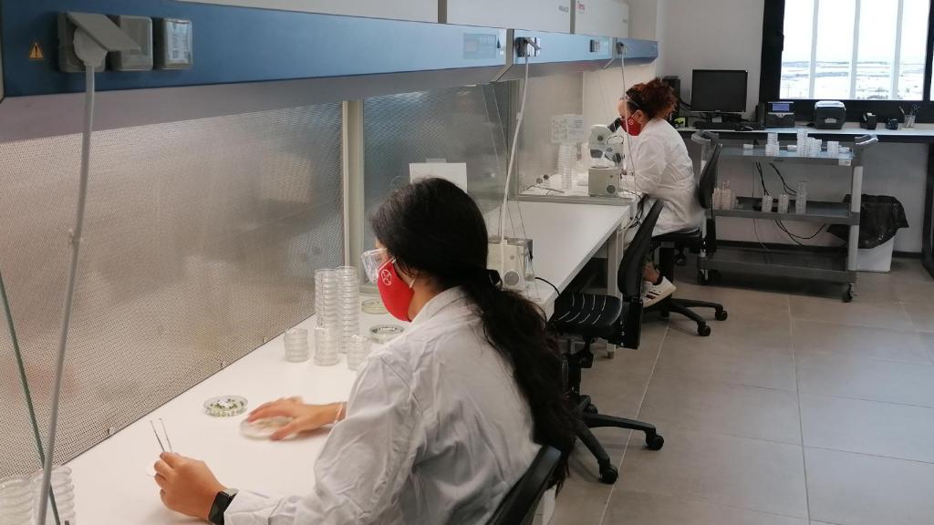 Laboratorio del centro de D+I de Bayer San Nicolás (Almería). FOTO: Noelia Hernández.