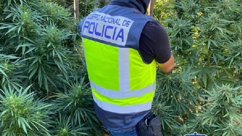 La Policía en la operación.
