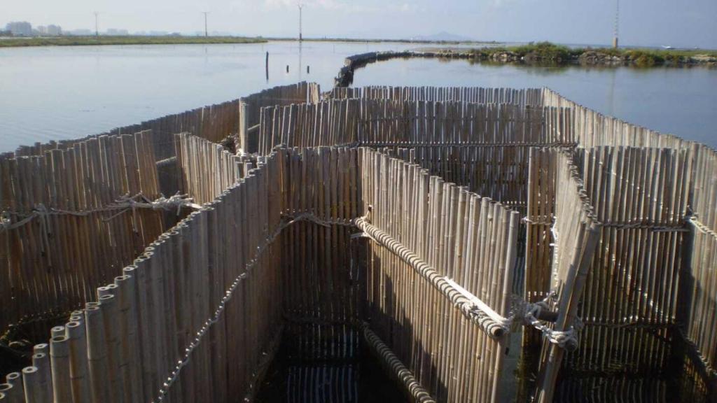 Encañizada del Ventorrillo del Mar Menor donde el Gobierno murciano invertirá 700.000 euros.