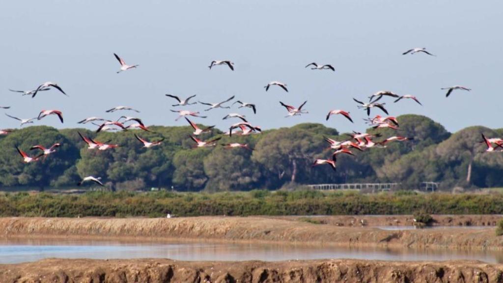 Parque Nacional de Doñana