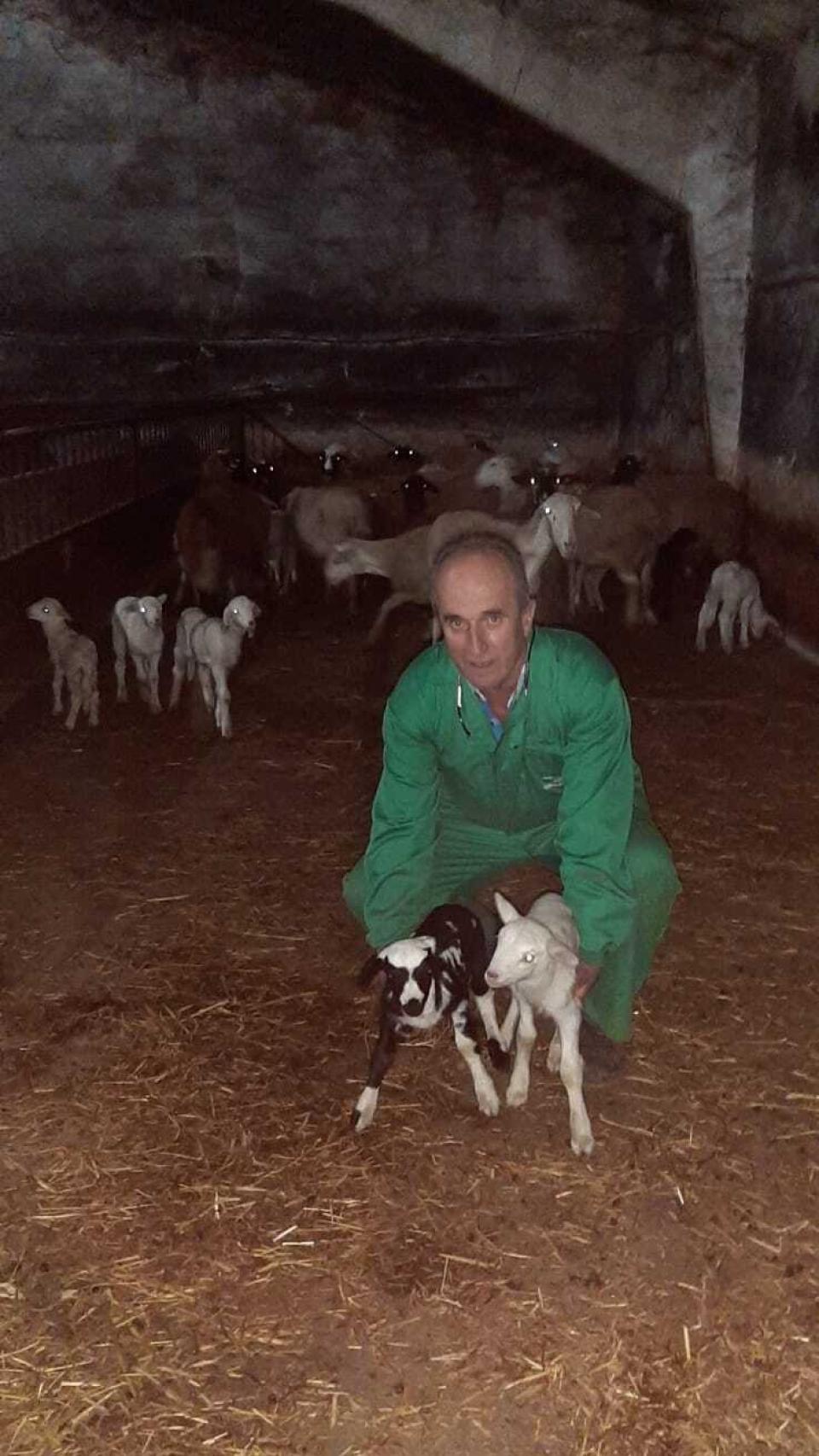 Fernando del Olmo, padre, en su explotación