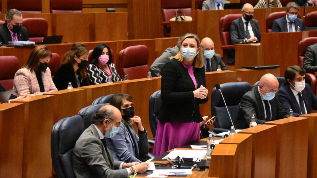 La consejera de Familia e Igualdad de Oportunidades de la Junta, Isabel Blanco durante el Pleno de las Cortes