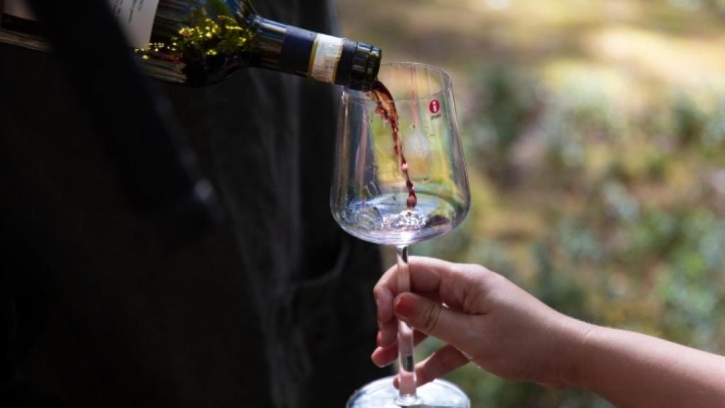 Vinos que transmiten la personalidad de su terruño.