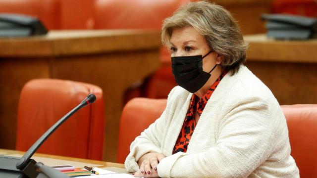 Enriqueta Chicano, este martes en el Congreso./
