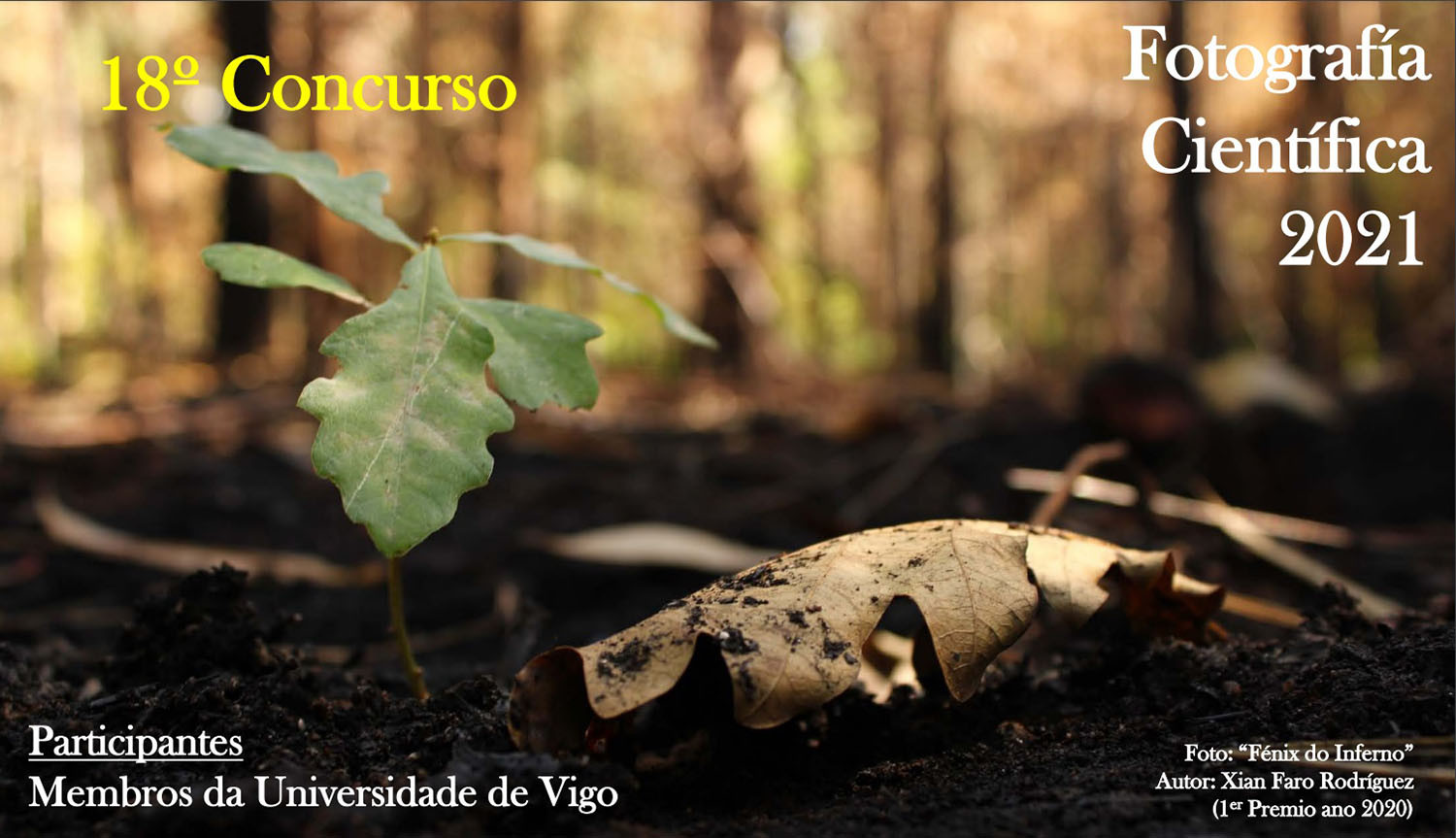 Cartel de esta edición.