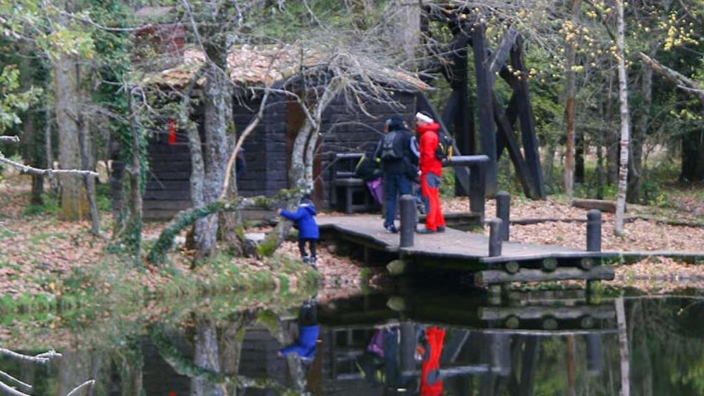 Bosque de Finlandia en Rascafría