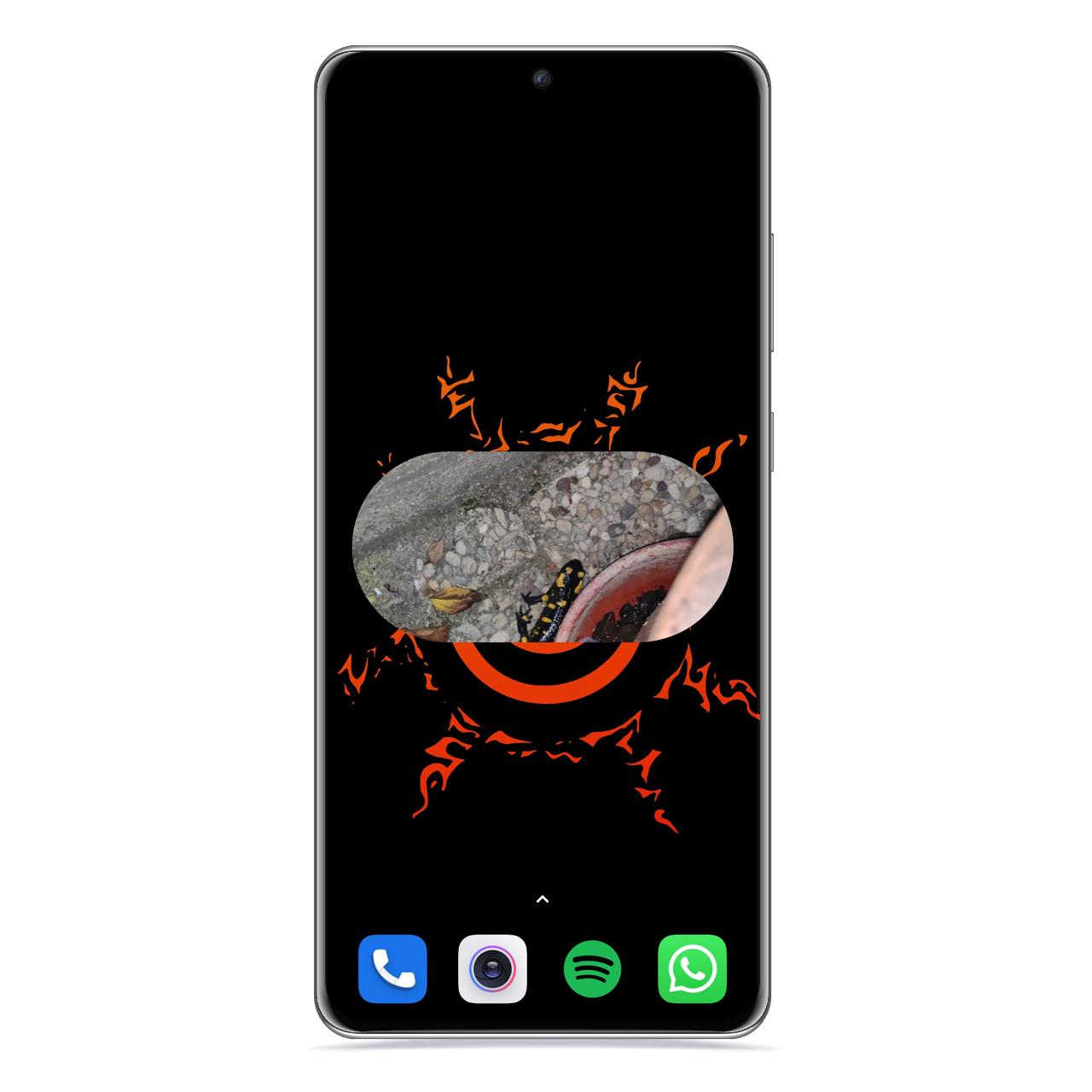Widgets de Google Fotos