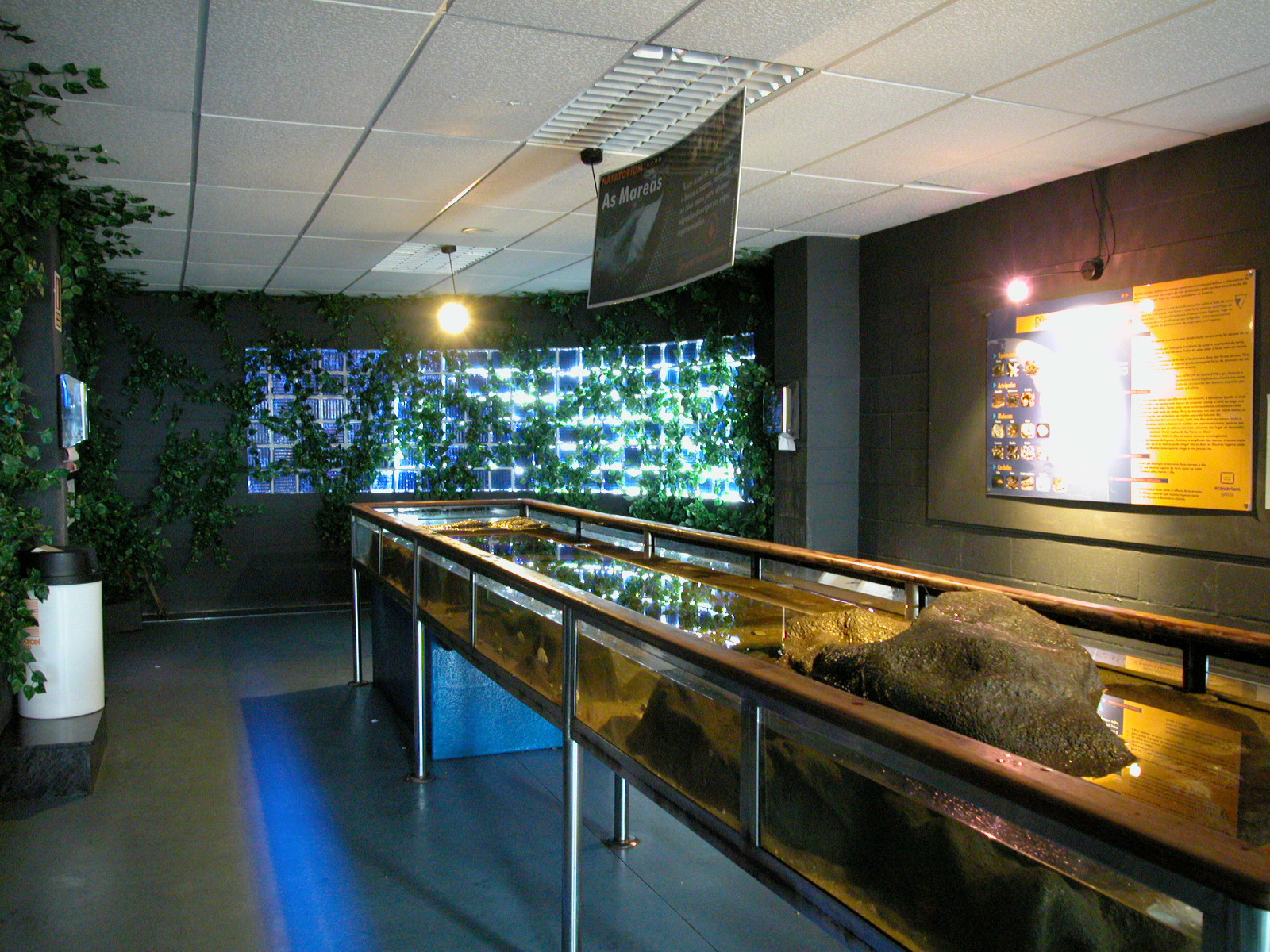 Sala As Mareas, Acuario de O Grove. Foto: Turismo Rías Baixas.