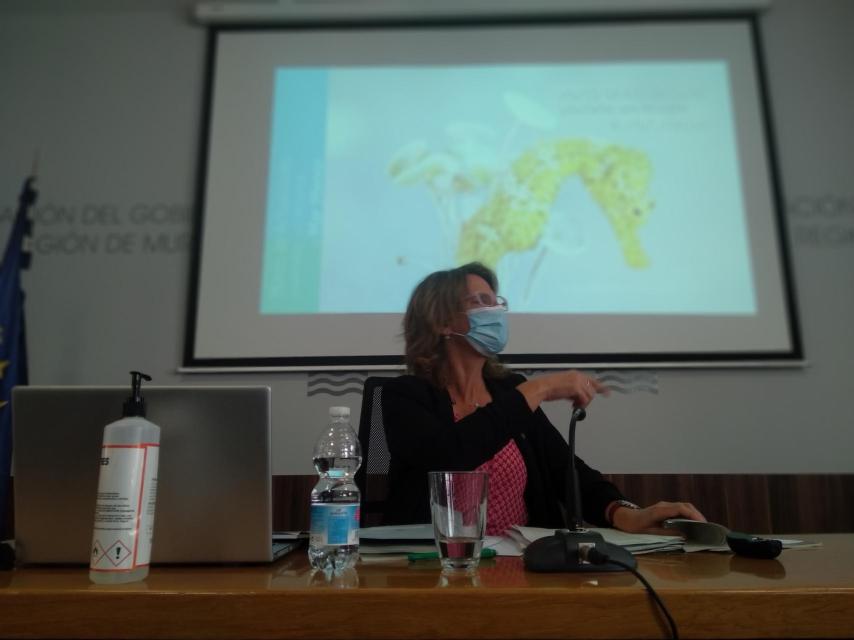 La ministra, este jueves, preparando su intervención ante los medios de comunicación.