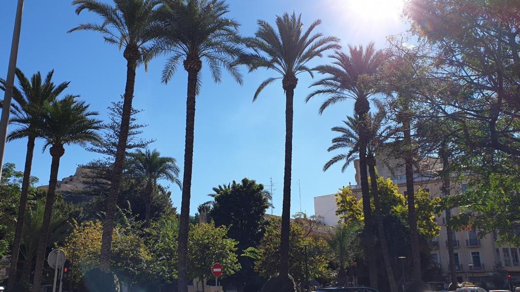 En esta semana se espera que la diferencia entre las temperaturas mínimas sea de 14 ºC.