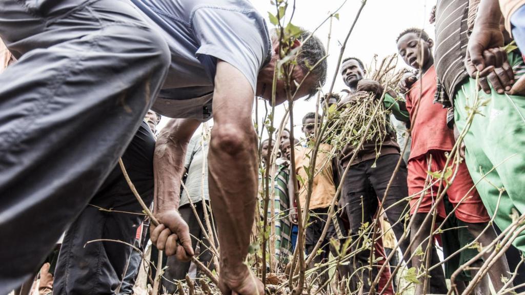 Tony Rinaudo en el Programa de Reforestación Comunitaria de Humbo, Etiopía