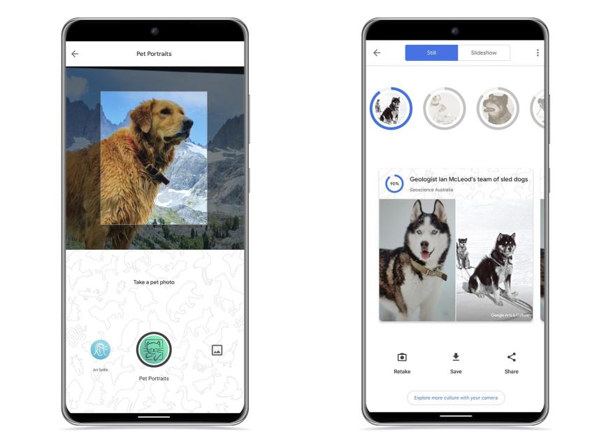 retratos de mascotas