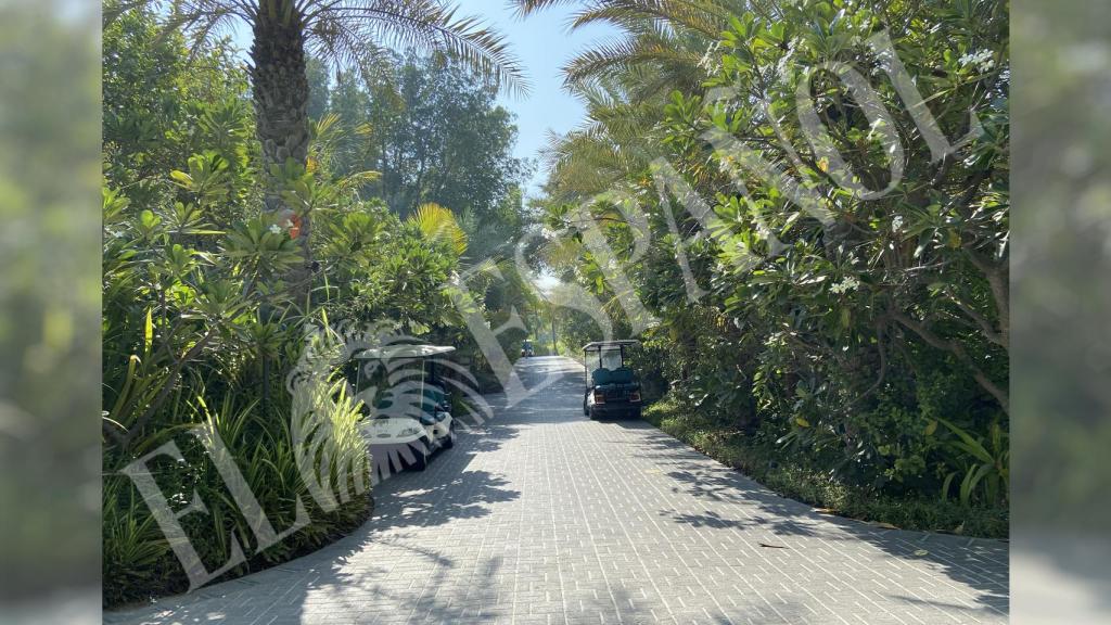 Dos de los buggies que se utilizan para trasladarse por la isla.