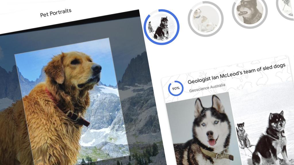 Tu mascota también puede ser una obra de arte gracias a Google