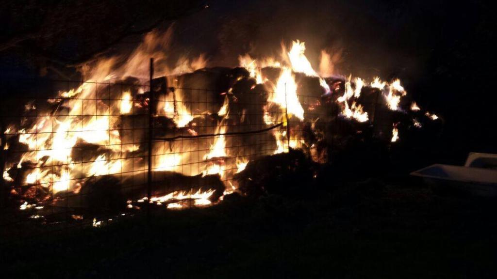 Las alpacas, quemándose.