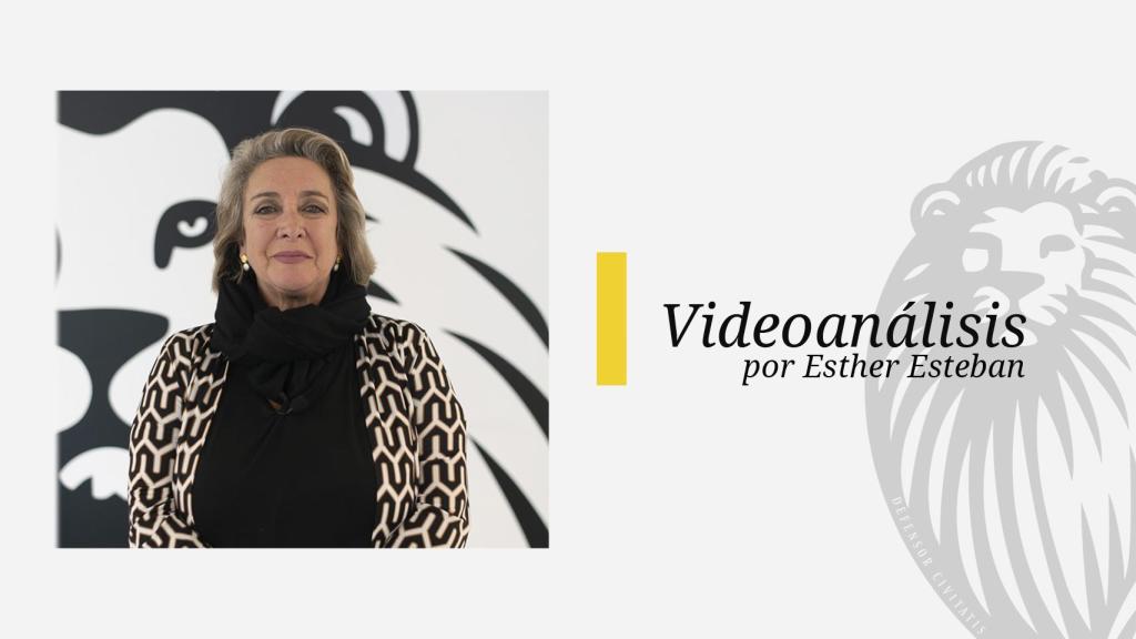 Nos dan gato por liebre