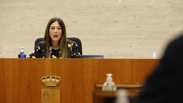Pilar Callado, directora del Instituto de la Mujer de Castilla-La Mancha, durante su comparecencia.