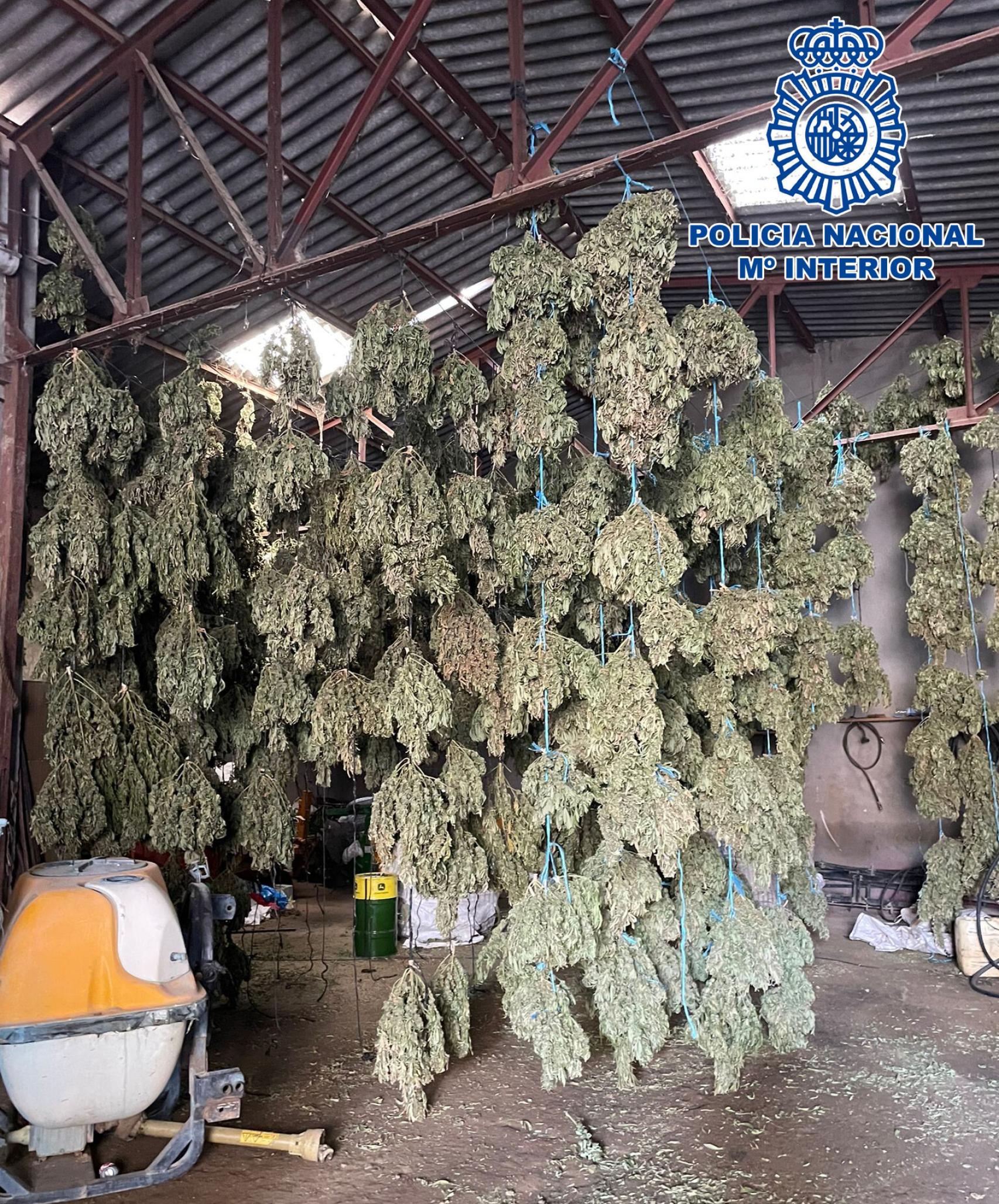 Operación 'Rodillo'