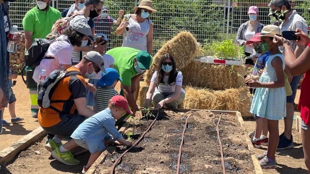 Imagen de archivo de una actividad de la estrategia municipal Savia del Ayuntamiento de Salamanca
