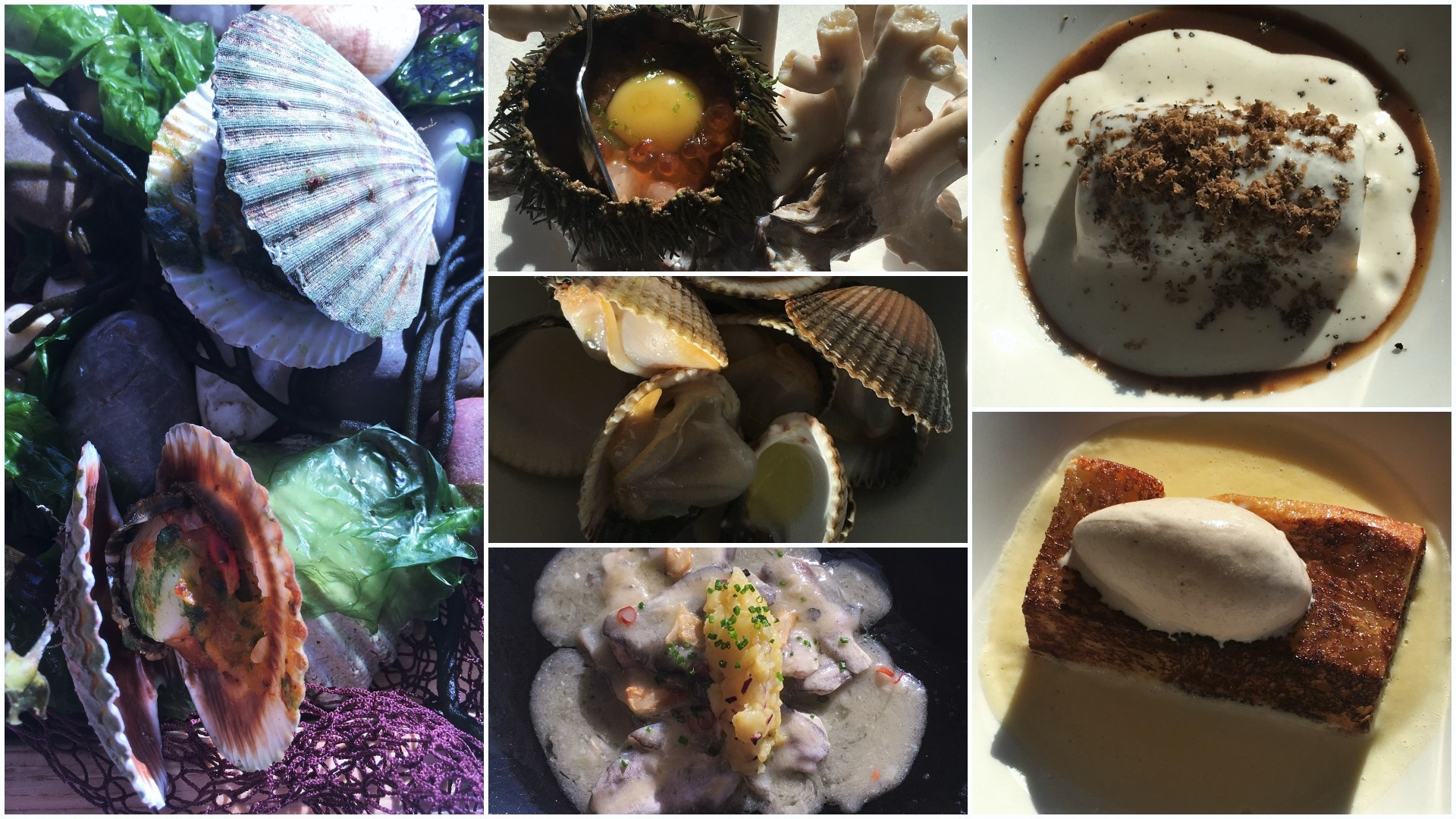 Algunos de los latos de la nueva carta del restaurante Faro. Fotos: Treintayseis