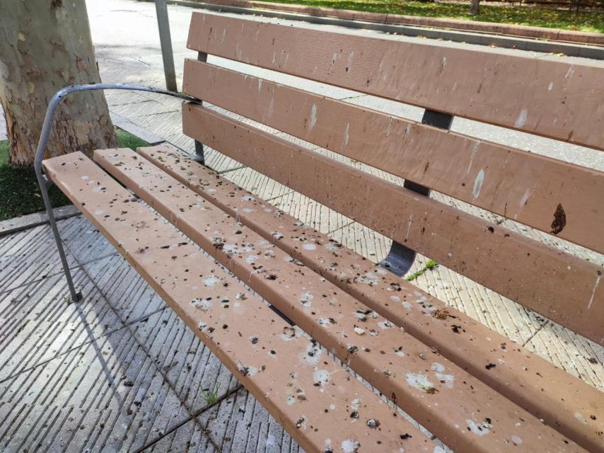 Suciedad en un banco por excrementos de estorninos