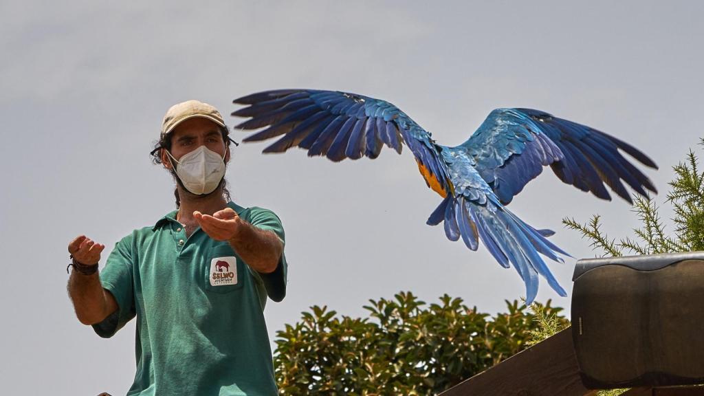 En Selwo Aventura nos sentiremos transportados a África