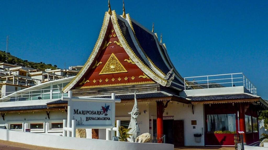 El Mariposario de Benalmádena es un buen plan para un domingo tonto.