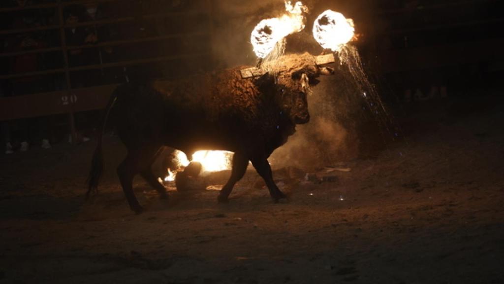 Celebración del Toro Jubilo en la localidad de Medinaceli
