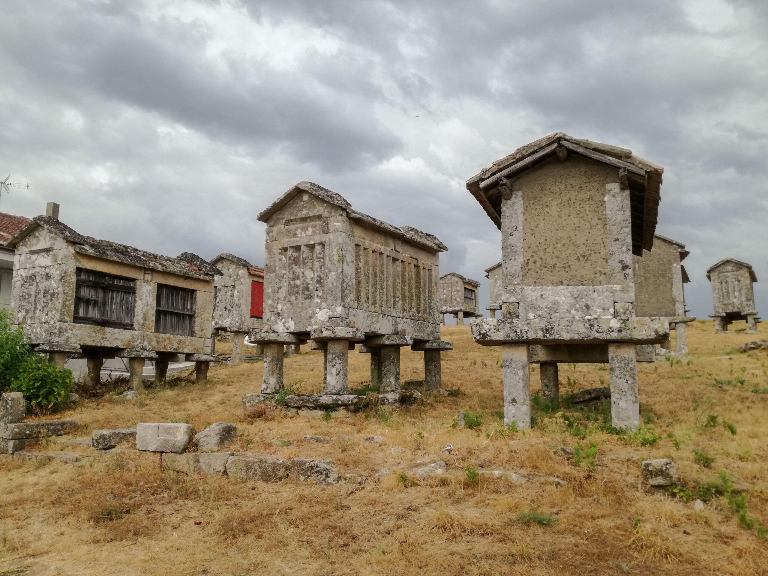 Detalle de los canastros (Foto: Emma Sexto)