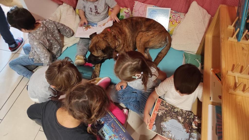 Los niños comparten espacios y actividades con Draco