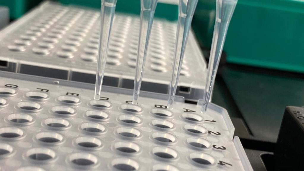 La UCLM realiza un cribado de covid a 500 personas con un llamativo resultado