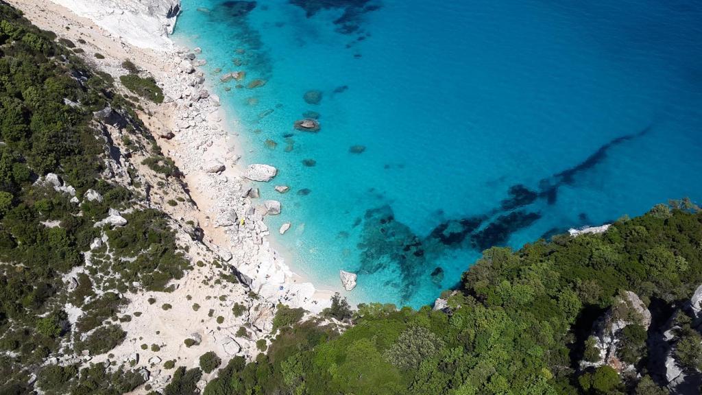 Cómo contribuir desde la ciencia y la tecnología a frenar los efectos directos del cambio climático.