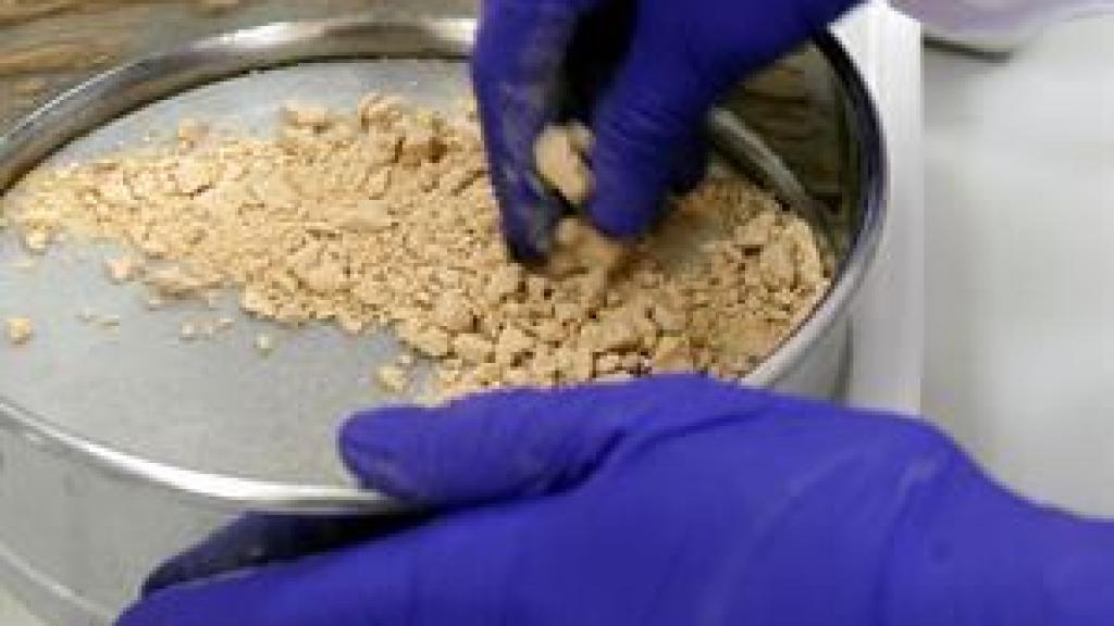 El resultado final del proceso que lleva a la harina de caqui