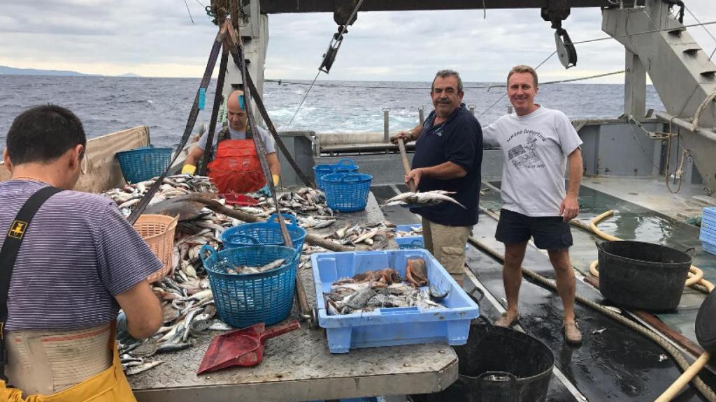 Una imagen de reclamo de Pesca Turismo El Paraiso, en Castellón