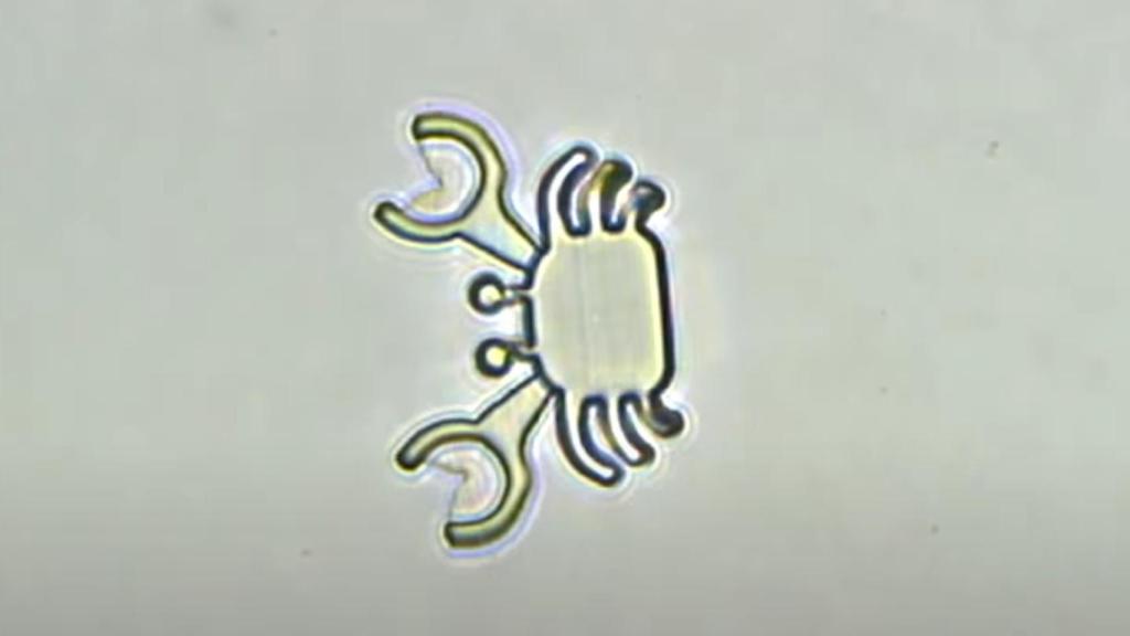 El microrobot con forma de cangrejo.