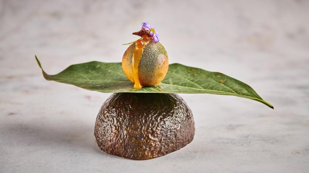 Menú CEBO México D.F.-Hueso de aguacate caliente y líquido