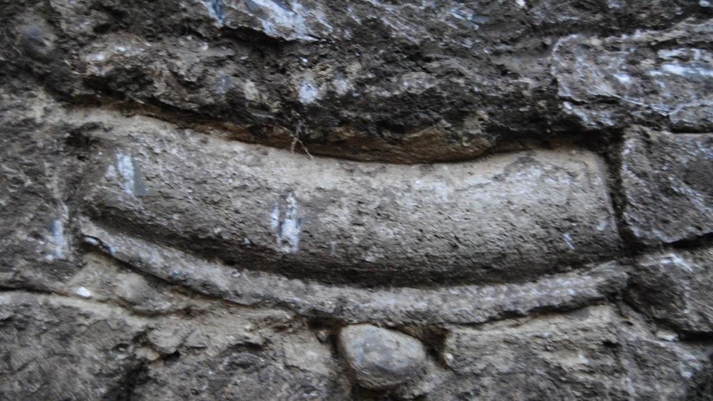 Carrión de los Condes