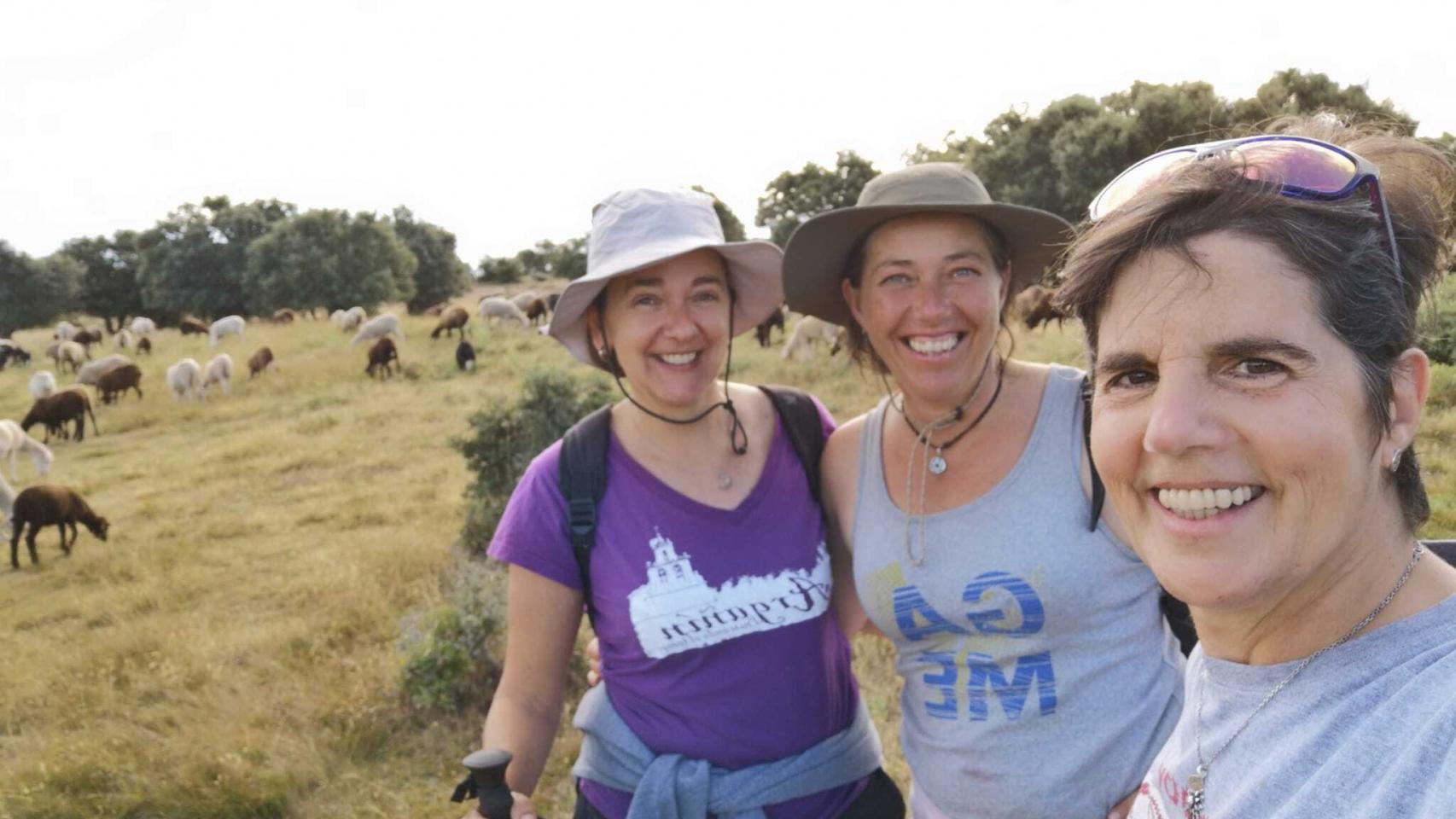 Una mañana de pastoreo en Sayago