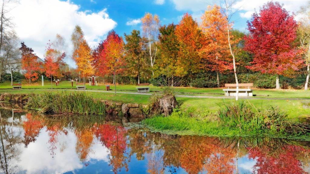 Área recreativa de Gabenlle (Fuente: Turismo de A Laracha)