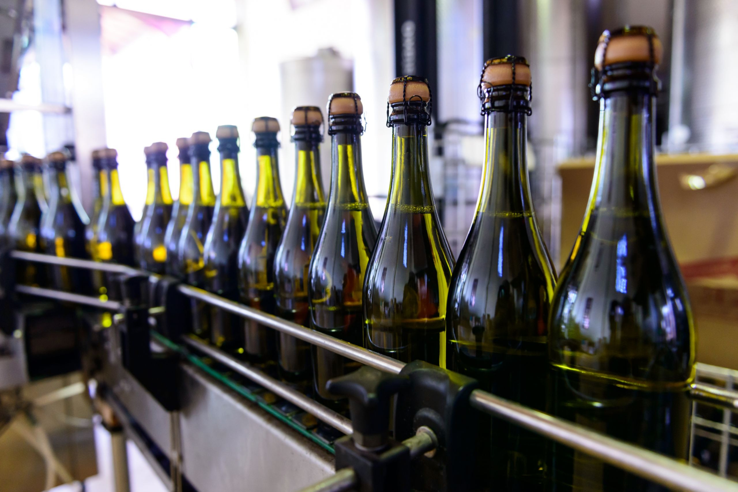 Cadena de embotellado. Foto: Shutterstock.