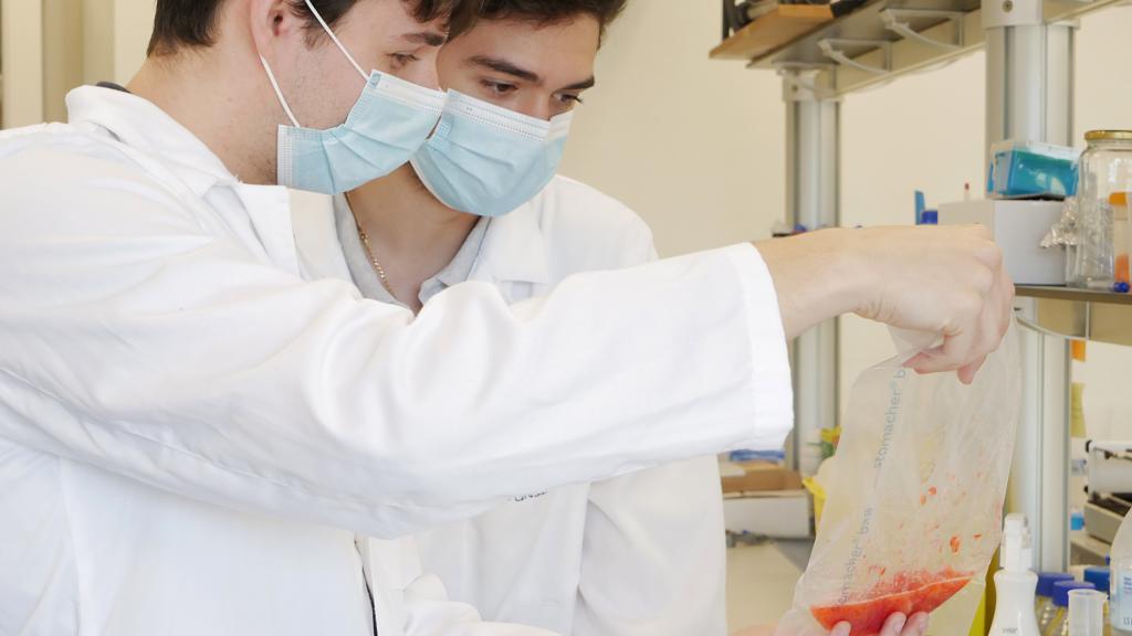 Los cofundadores de la startup alicantina revisan sus avances en el laboratorio.