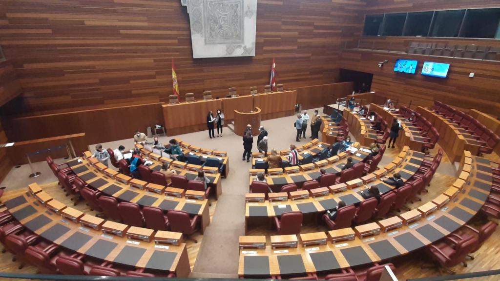 Pleno Autonómico de Infancia y Adolescencia de Castilla y León